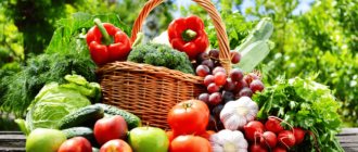 Хранение овощей и фруктов: сроки, температура, влажность