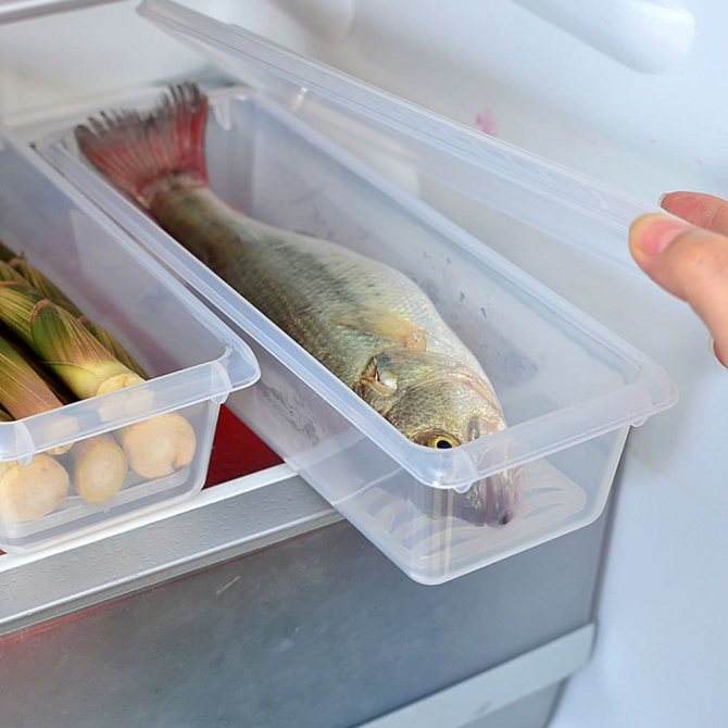 Хранение рыбы на полке в холодильнике