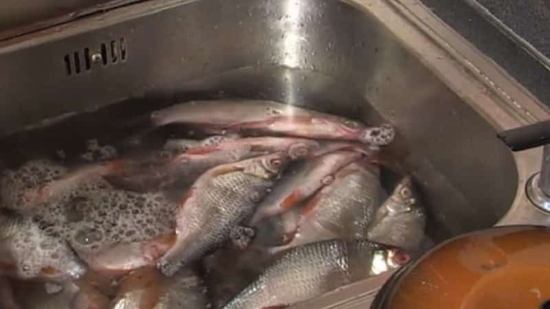 Как хранится свежая и приготовленная рыба в домашних условиях