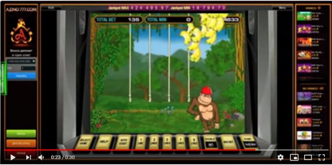 На фото - обезьянки из игрового автомата